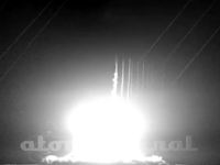 Gerboise Rouge video