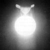 Altair - Moruroa 1967