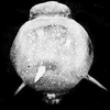 Unidentified