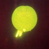 Betelgeuse rap
