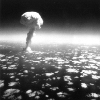 Procyon