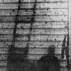 Hiroshima shadow