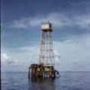 Wooden tower Redwing