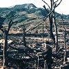 Nagasaki