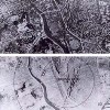 Nagasaki comparison