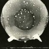 Unidentified