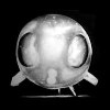 Unidentified