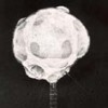 Unidentified