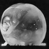 Unidentified