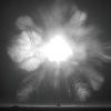 Whitney Plumbbob