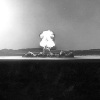 Priscilla Plumbbob