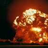 Shasta Plumbbob